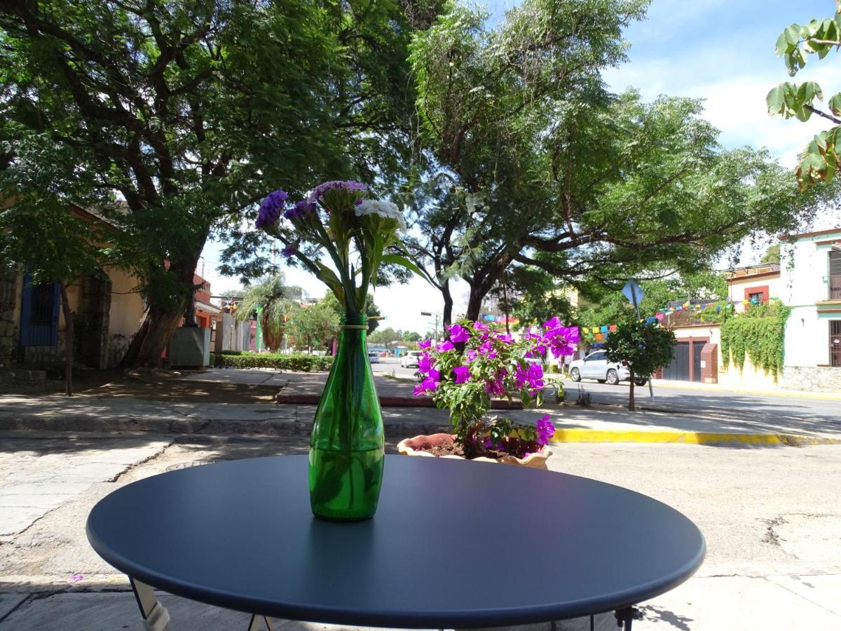Alojamiento Jalatlaco - Car Rental! Estacionamiento En La Calle Sujeto A Disponibilidad Oaxaca 외부 사진